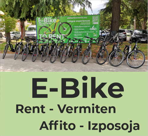 Ebike